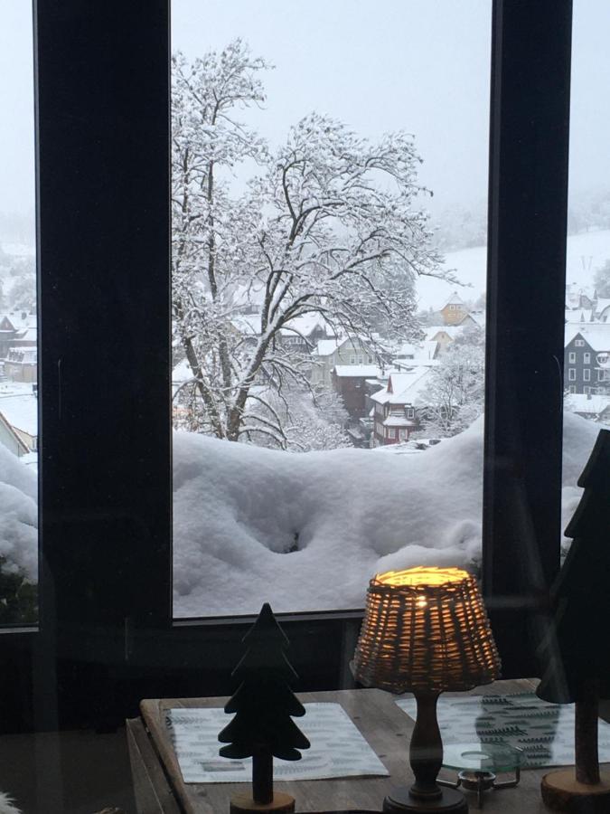 Harzer Schatz - Bergpack Appartement Braunlage